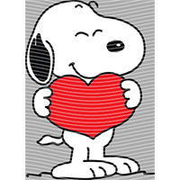 Valentine's Day-QRJ  5553